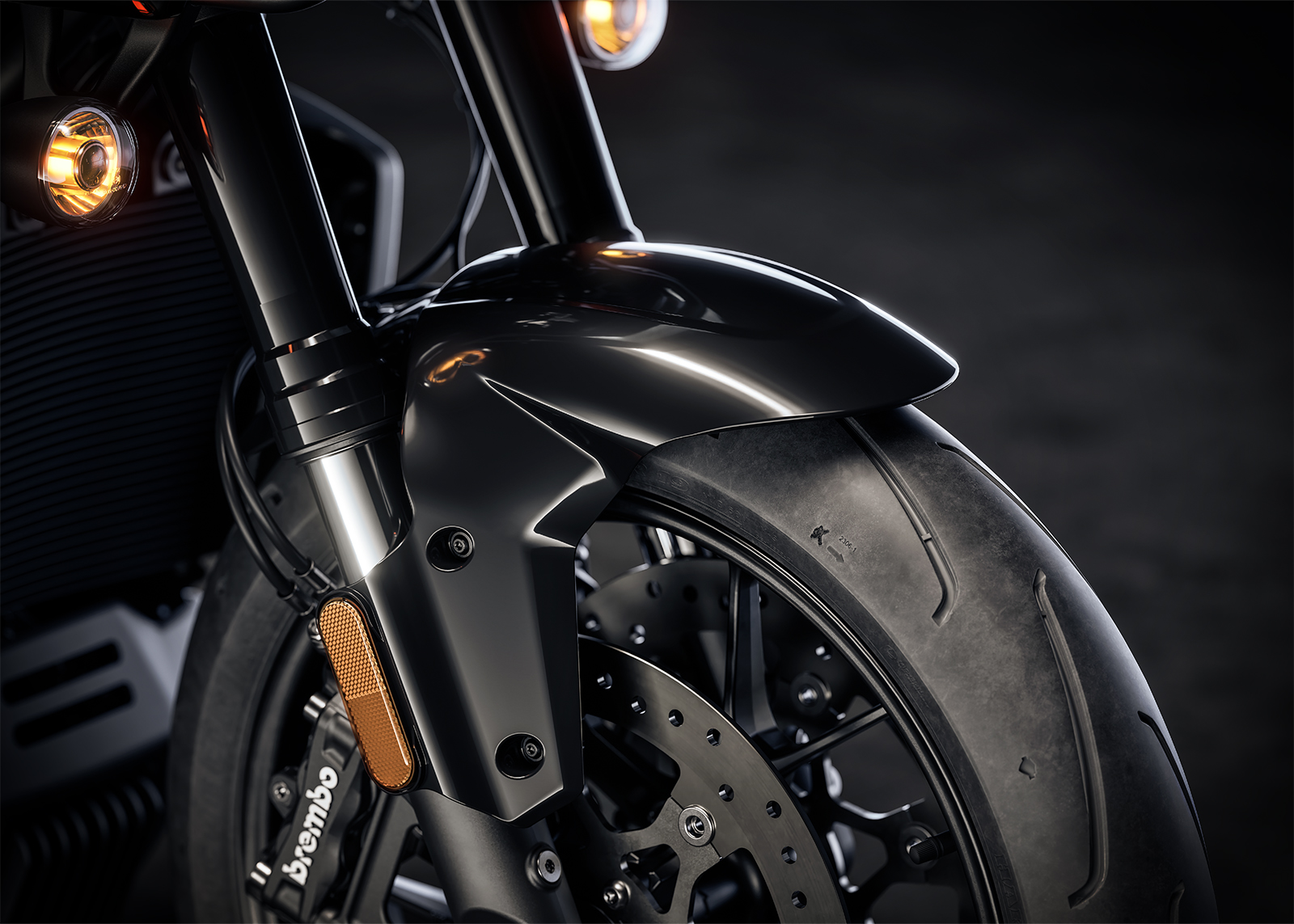 2025 Pan America ST Front Fender