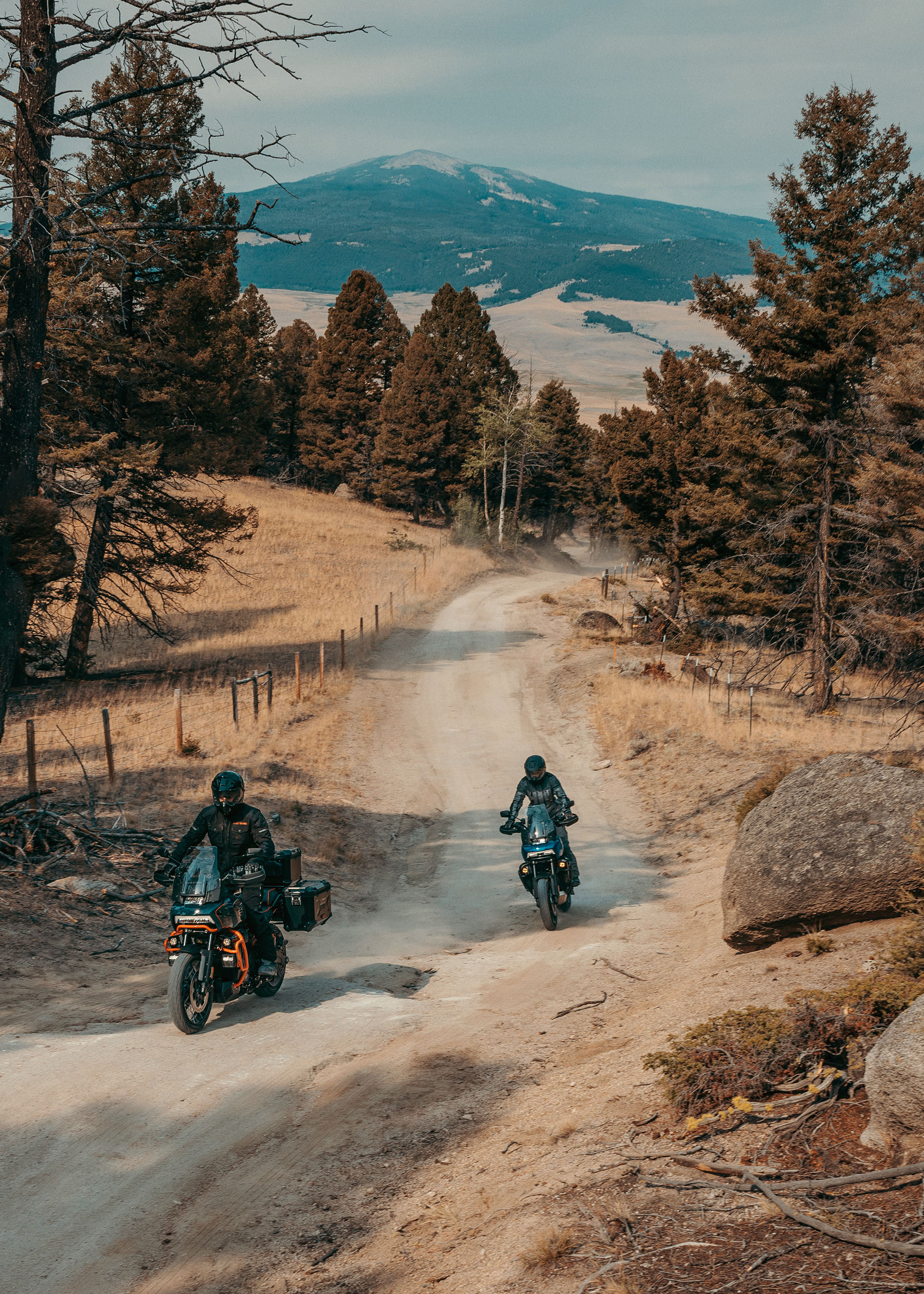 2025 Pan America 1250 Special Motorcycle Riding Shot