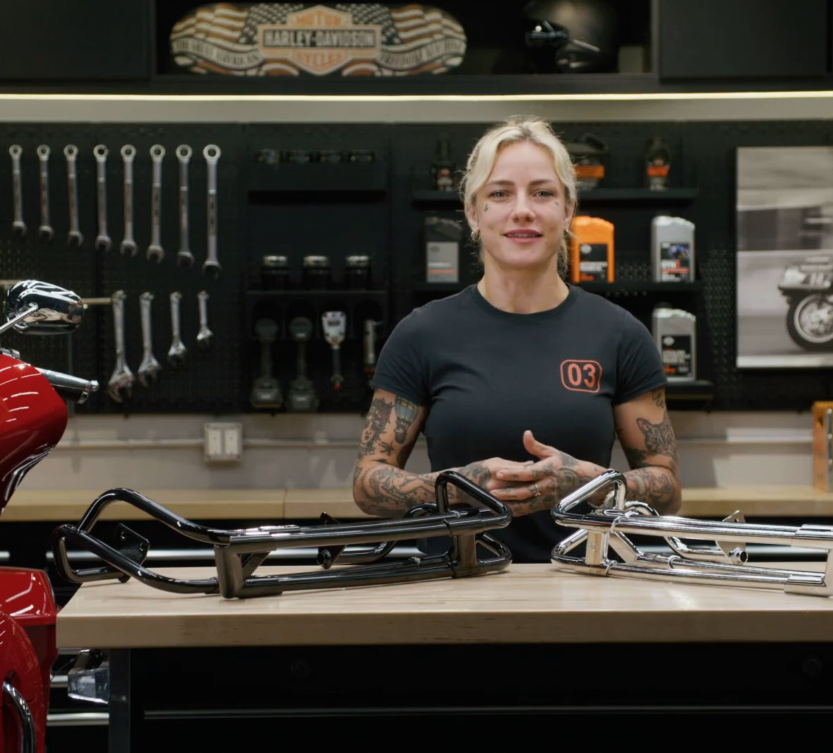 Saddlebag Guard Rails