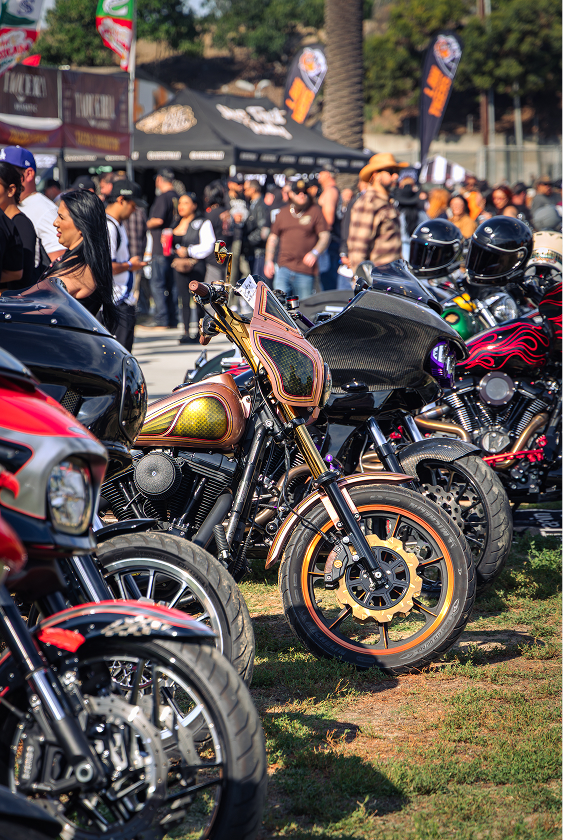 P-T-D Giacca Americana Militare Route 66 Chopper Bobber Moto Cafe Racer Swat Marine Corps M 103333834