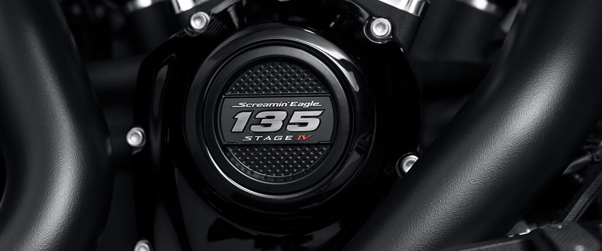 Screamin Eagle 131 Performance Crate Engine