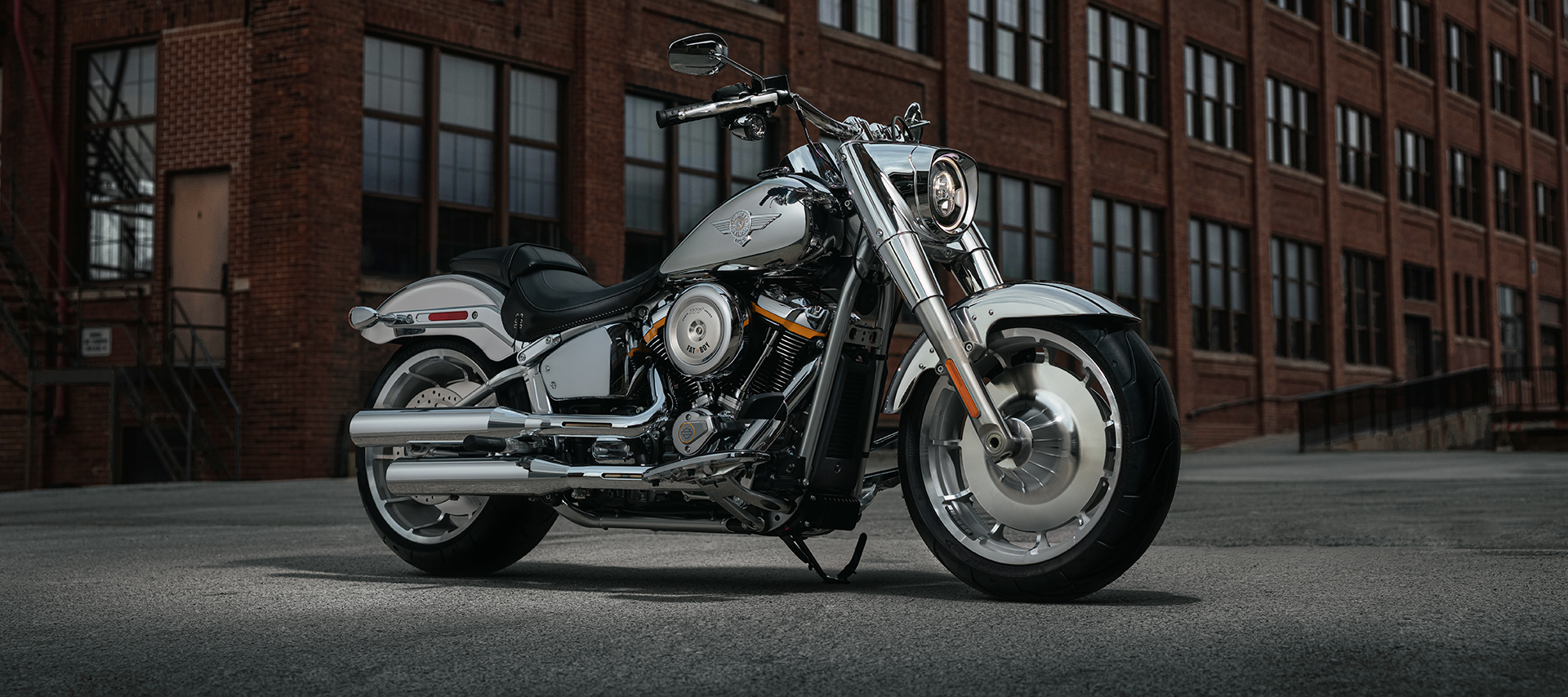 MY25 Gray Ghost Beauty