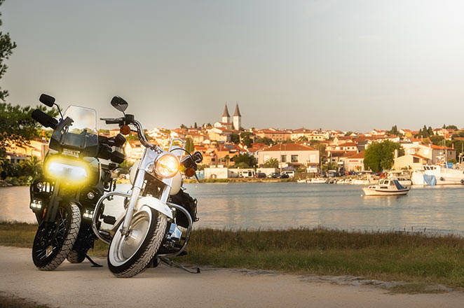 european-hog-rally-clist