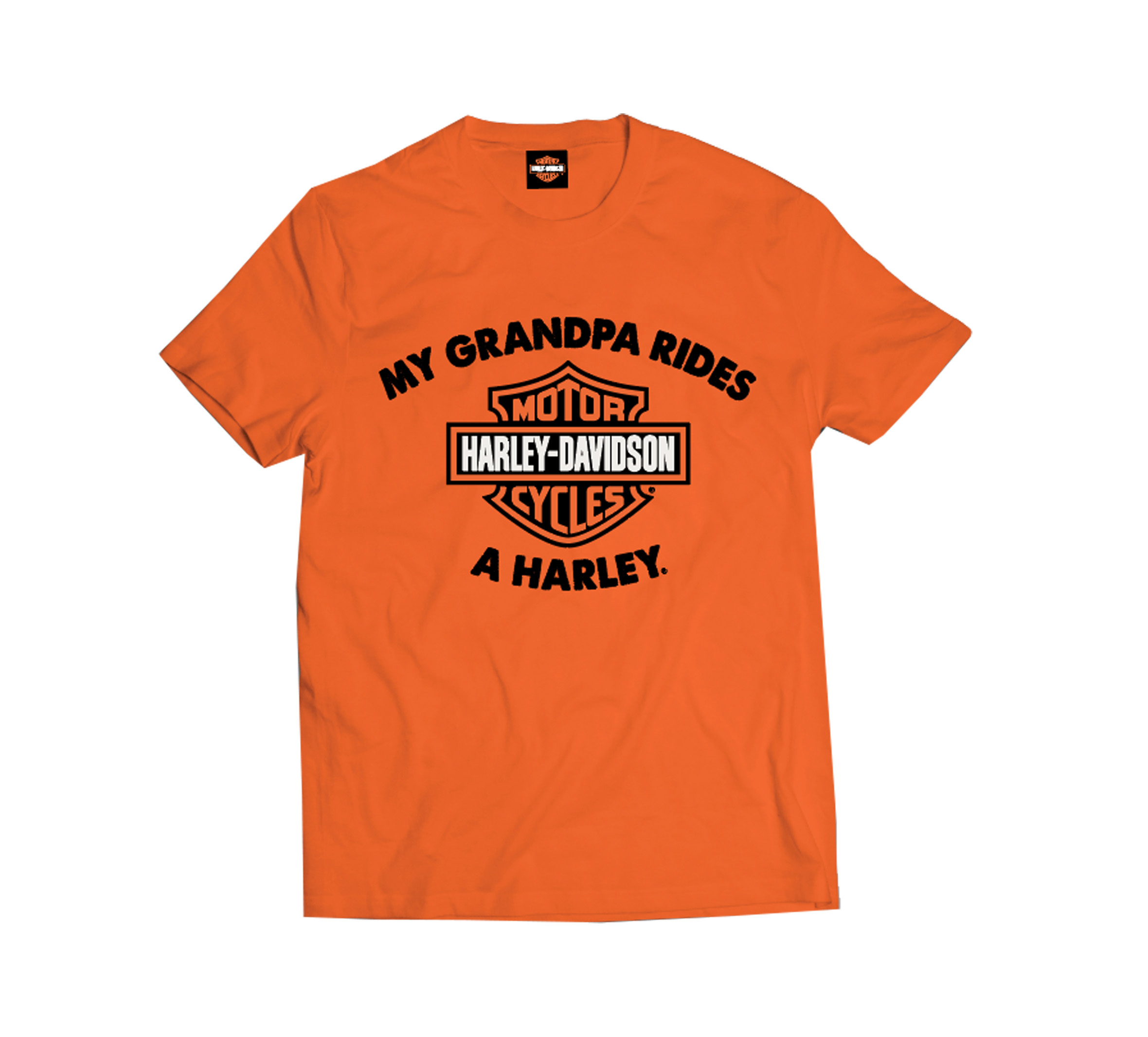 Toddler Boys Grandpa Rides a Harley Tee