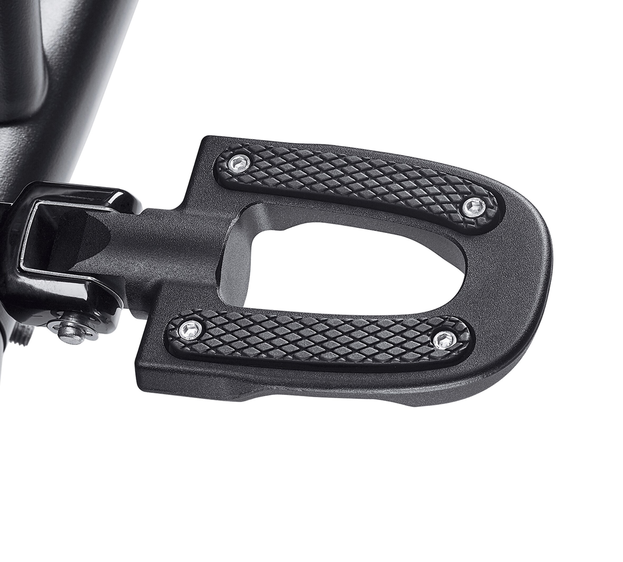 Endgame Passenger Footpegs