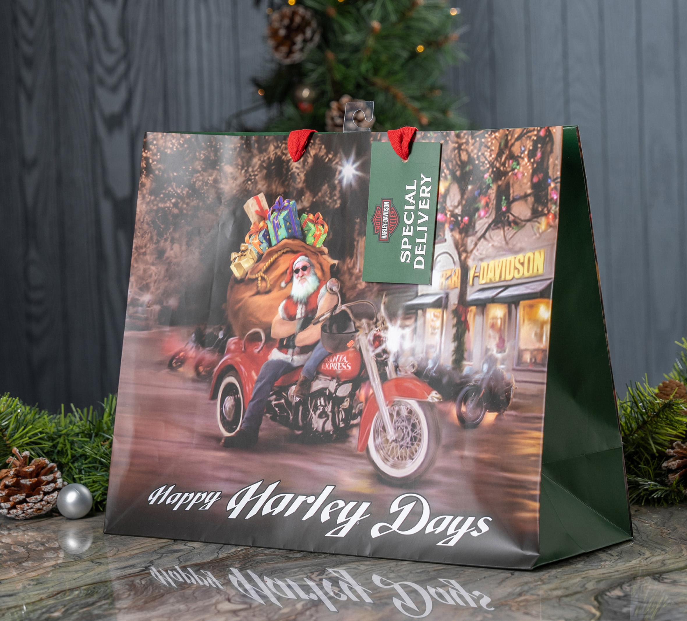 Biker Santa Gift Bag