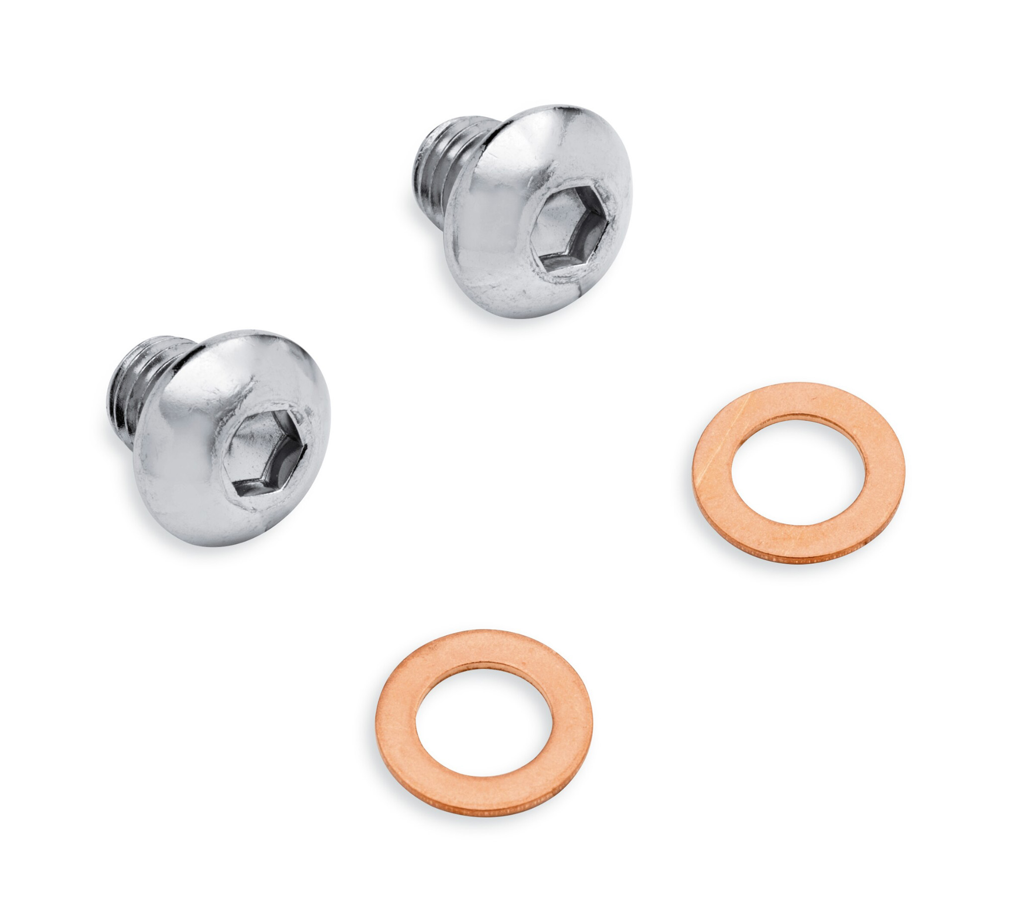 Chrome Fork Slider Drain Screw Kit