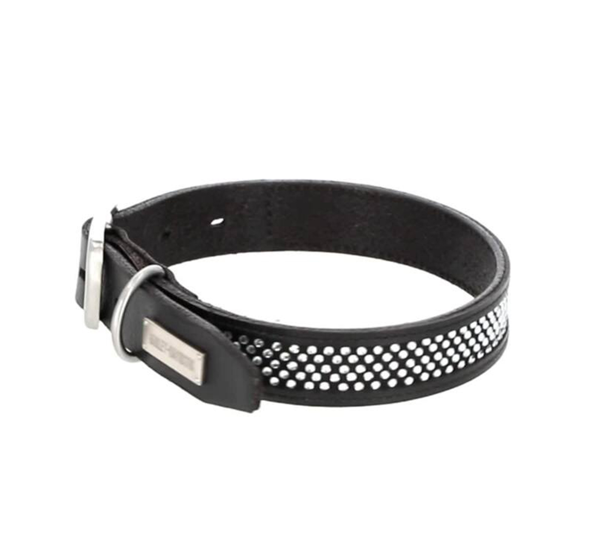 Collier pour chiens en cuir 6 po à 12 po