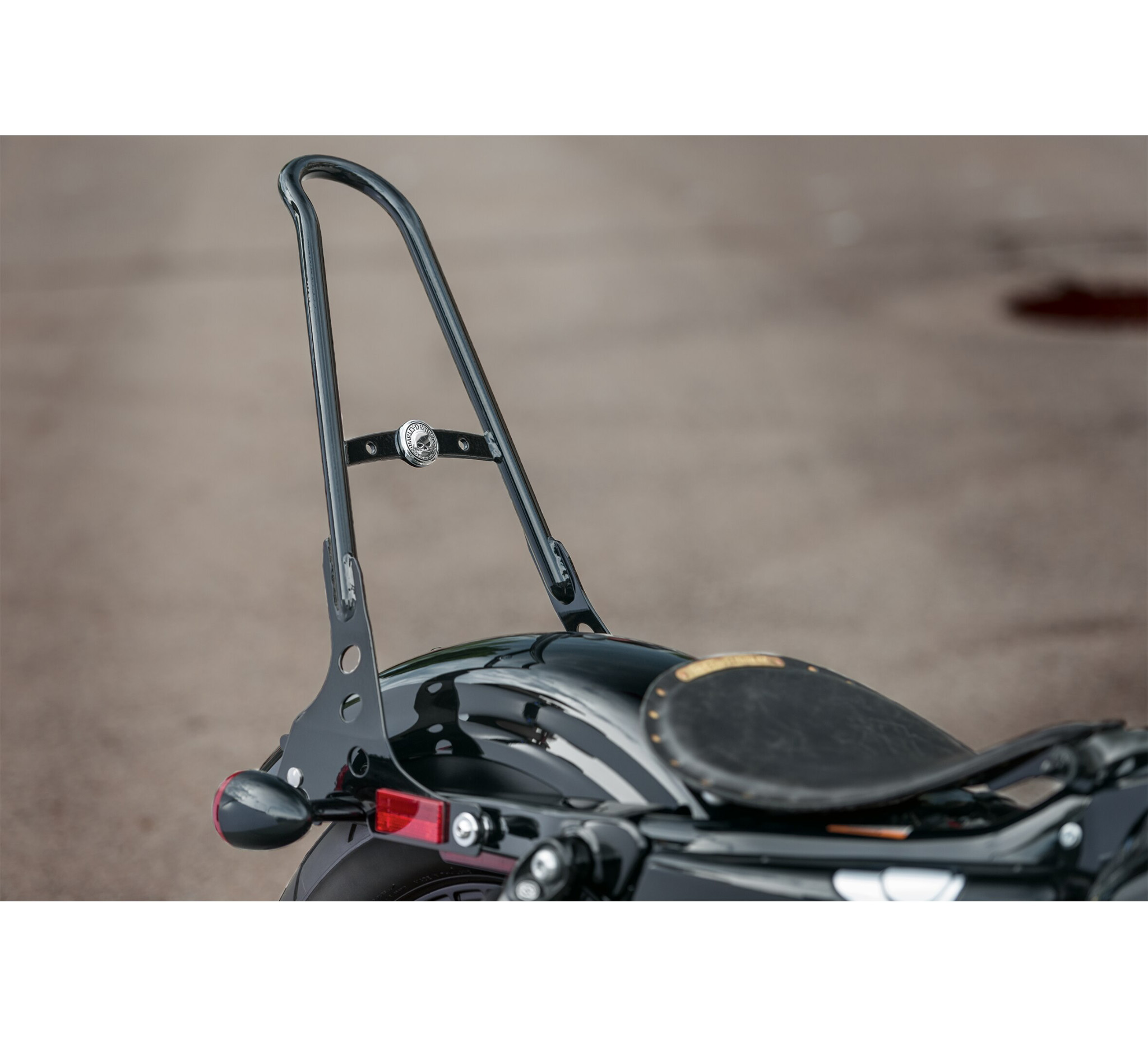 One-Piece H-D Detachables Sissy Bar Upright