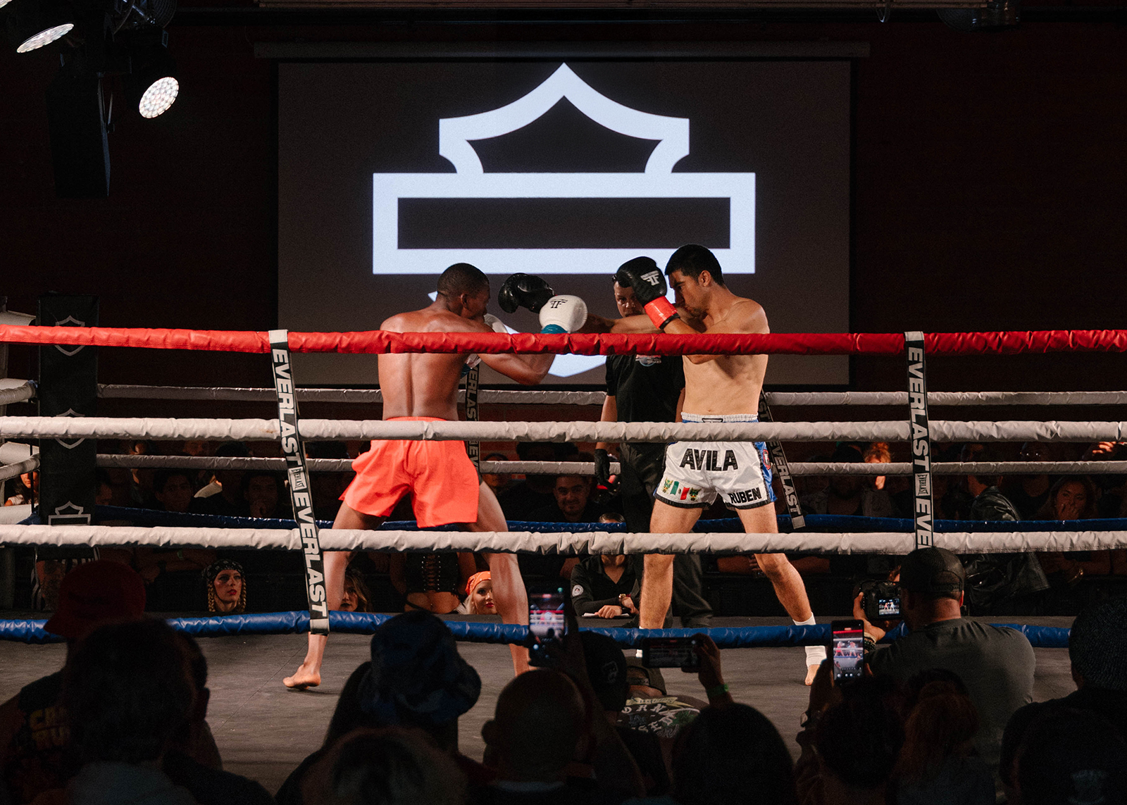 Two boxers exchange punches in a brightly lit ring, surrounded by ropes and a cheering crowd, with a large Harley-Davidson bar and shield logo in the background.