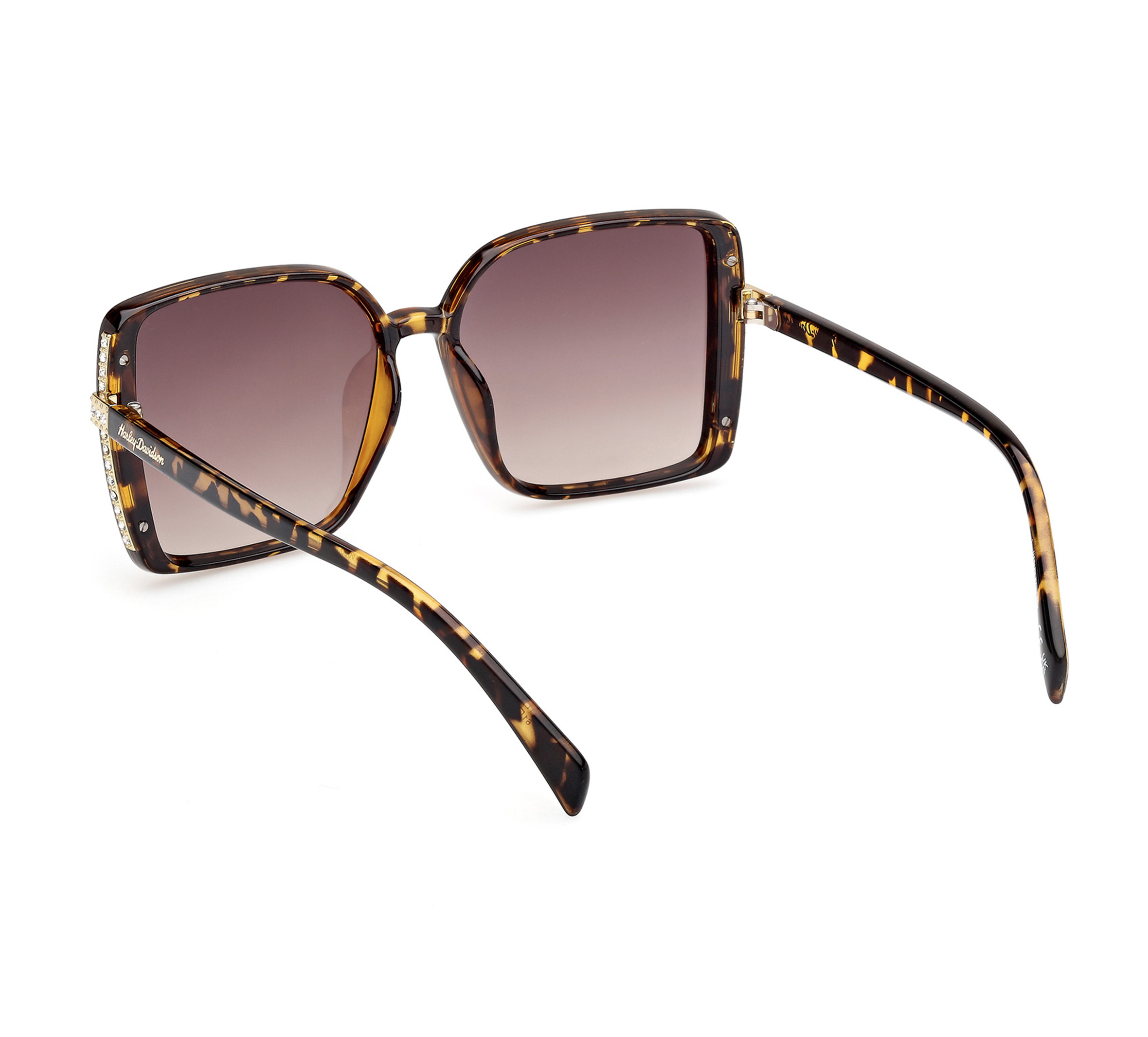 Women's Lifestyles Series