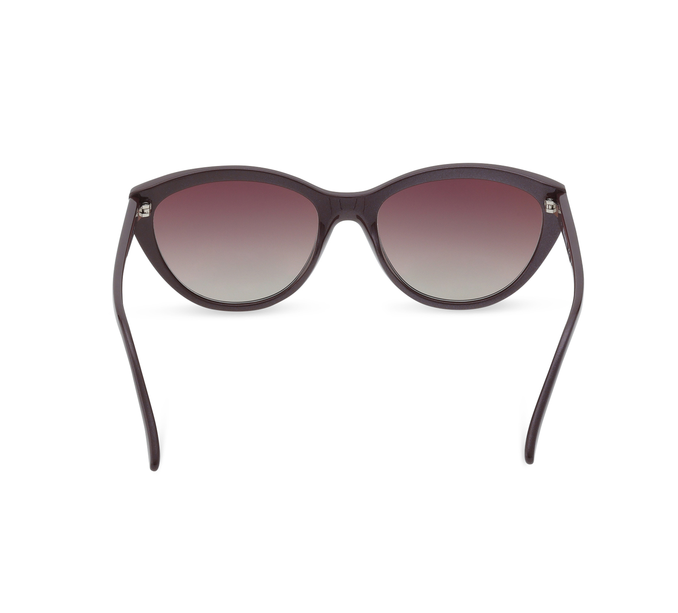 Rim Cat Eye  Lifestyle Sunglasses