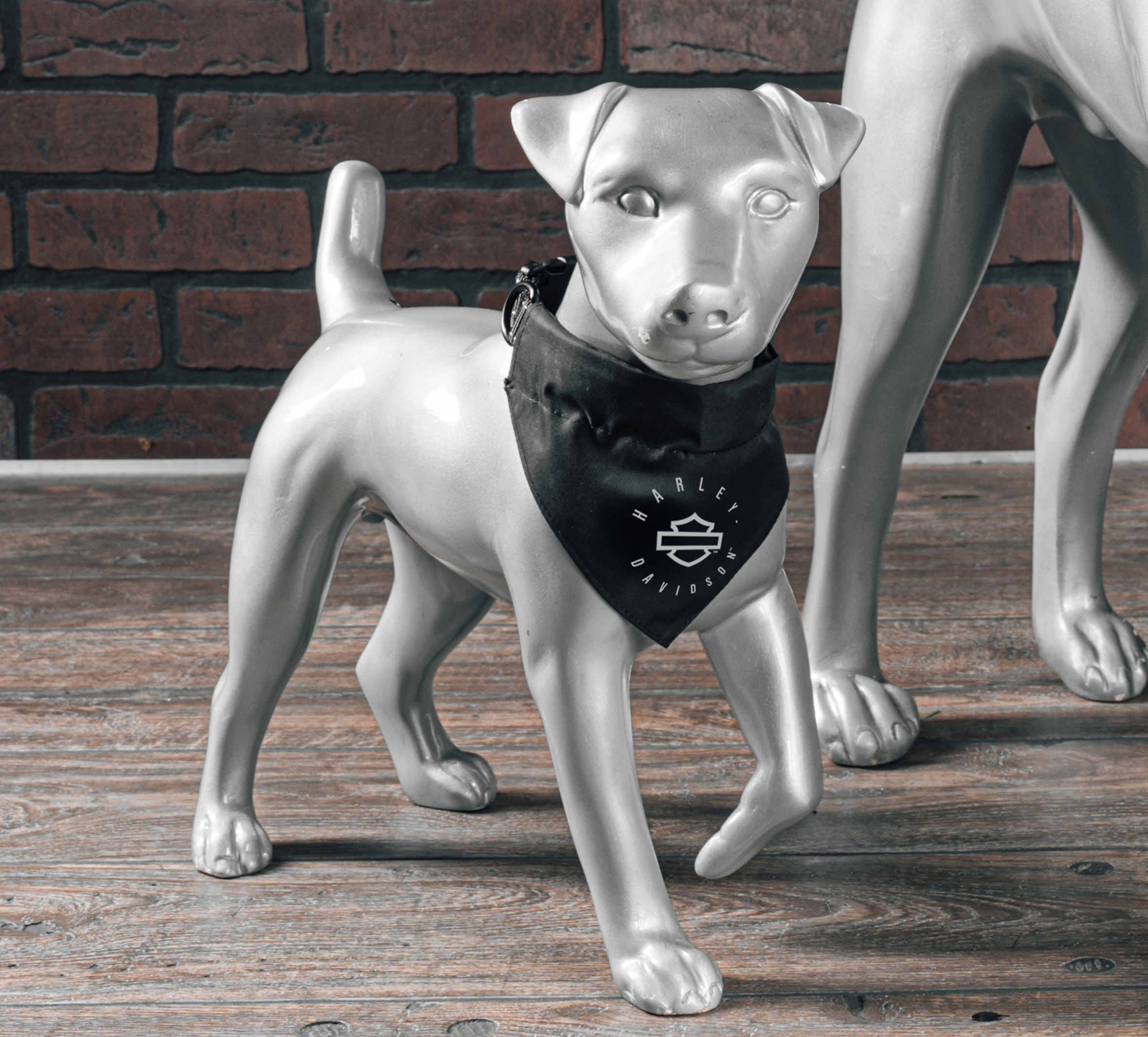 Open Bar & Shield Pet Bandana