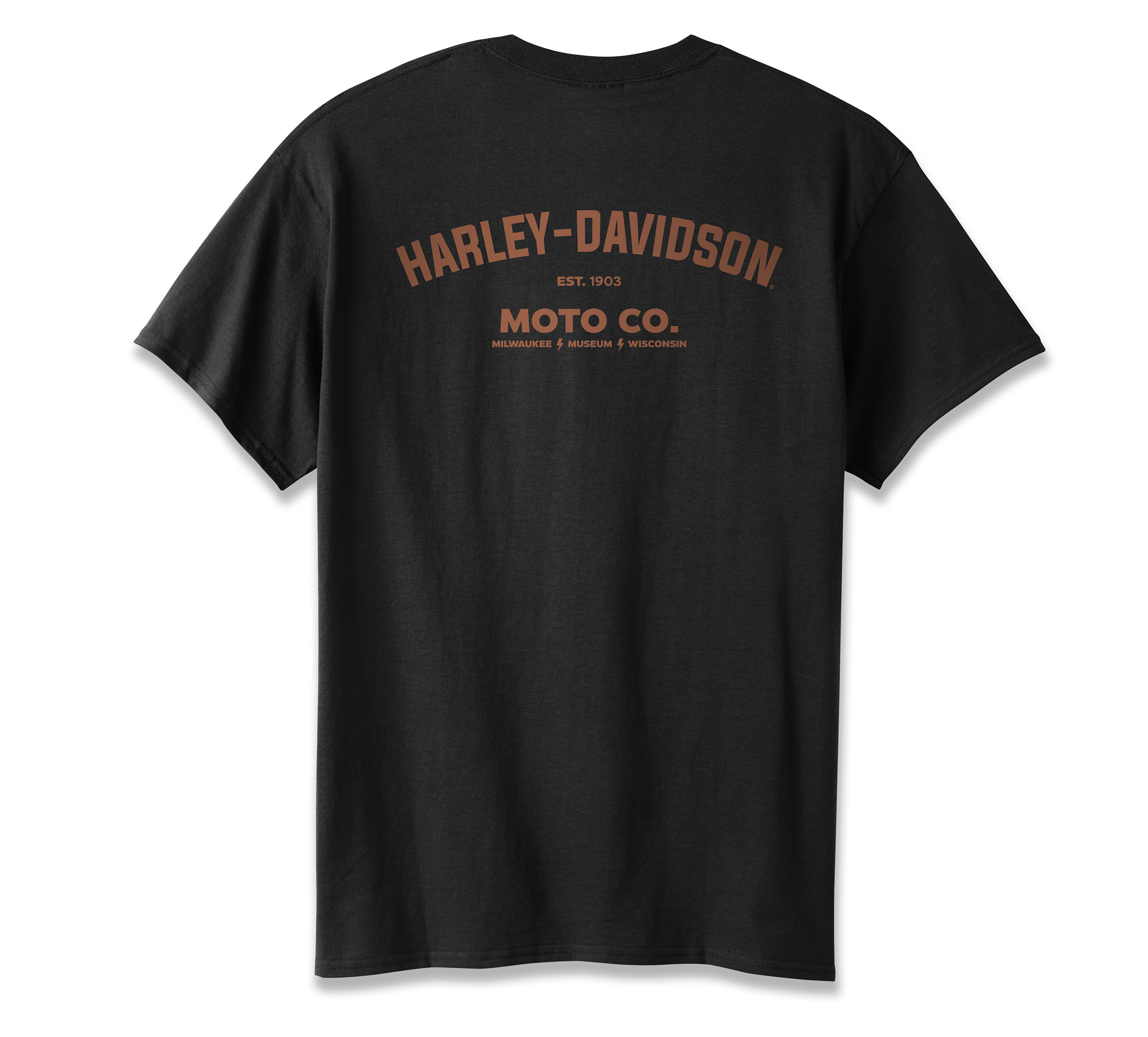 Men's Vintage Eagle Scroll Tee