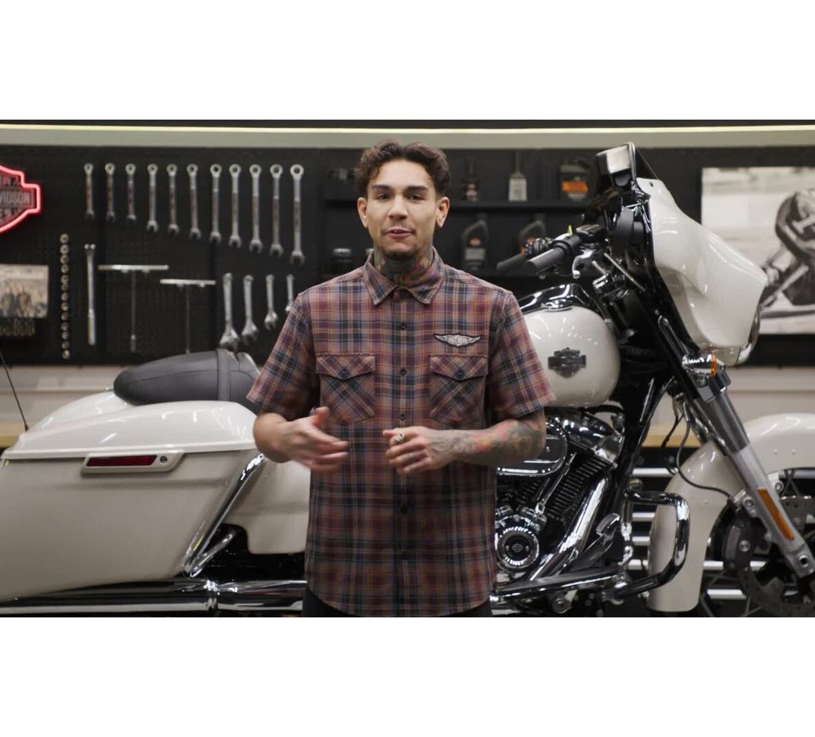 Saddlebag Wall Organizer