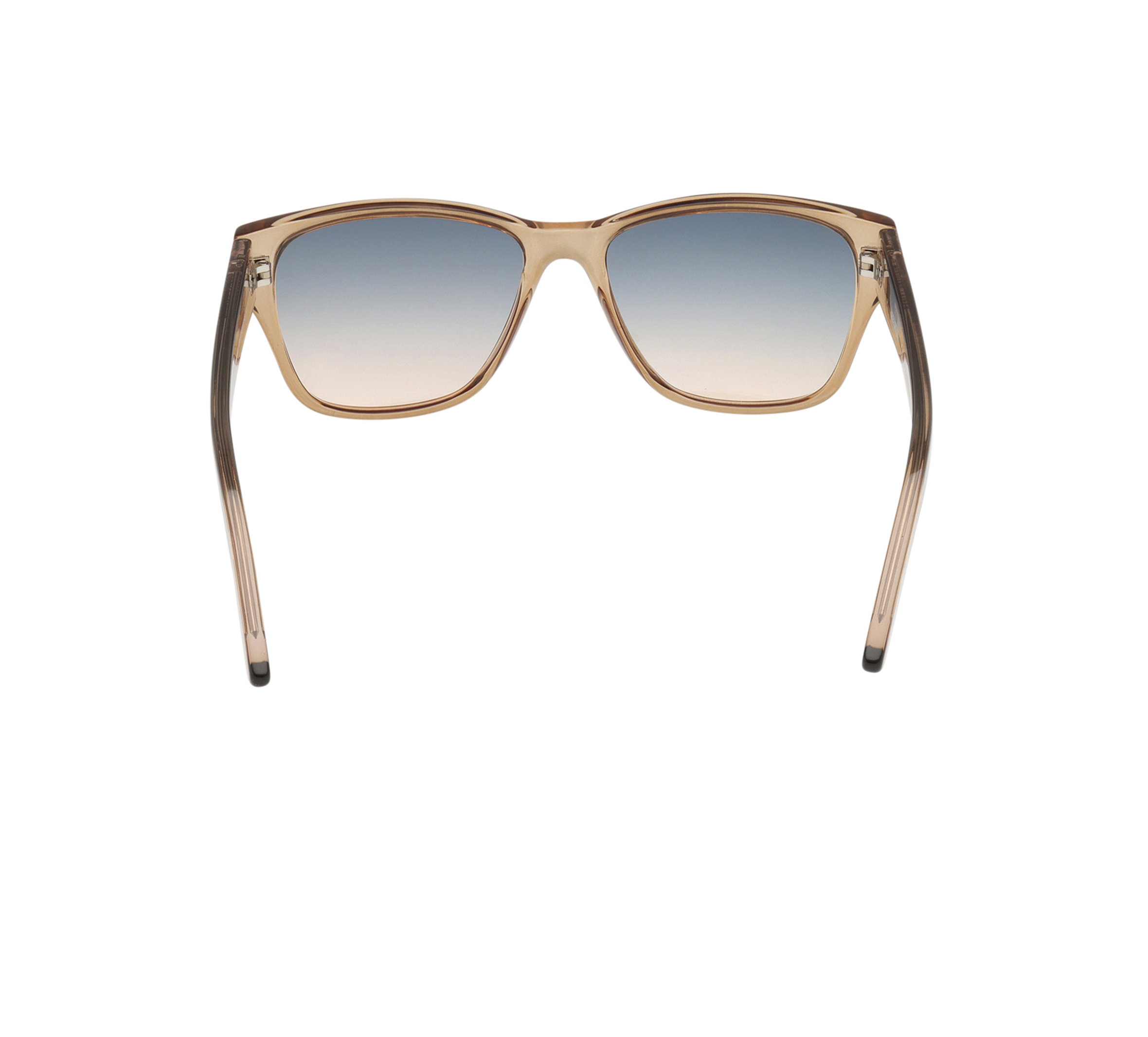 Wayfarer Lifestyle  Sunglasses