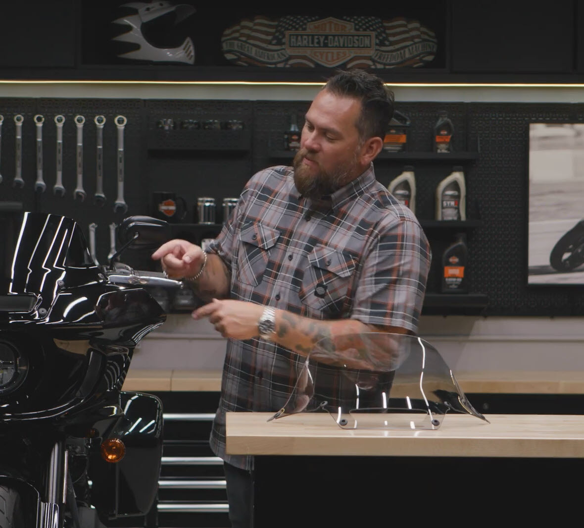 Light Smoke 10 In. Windshield