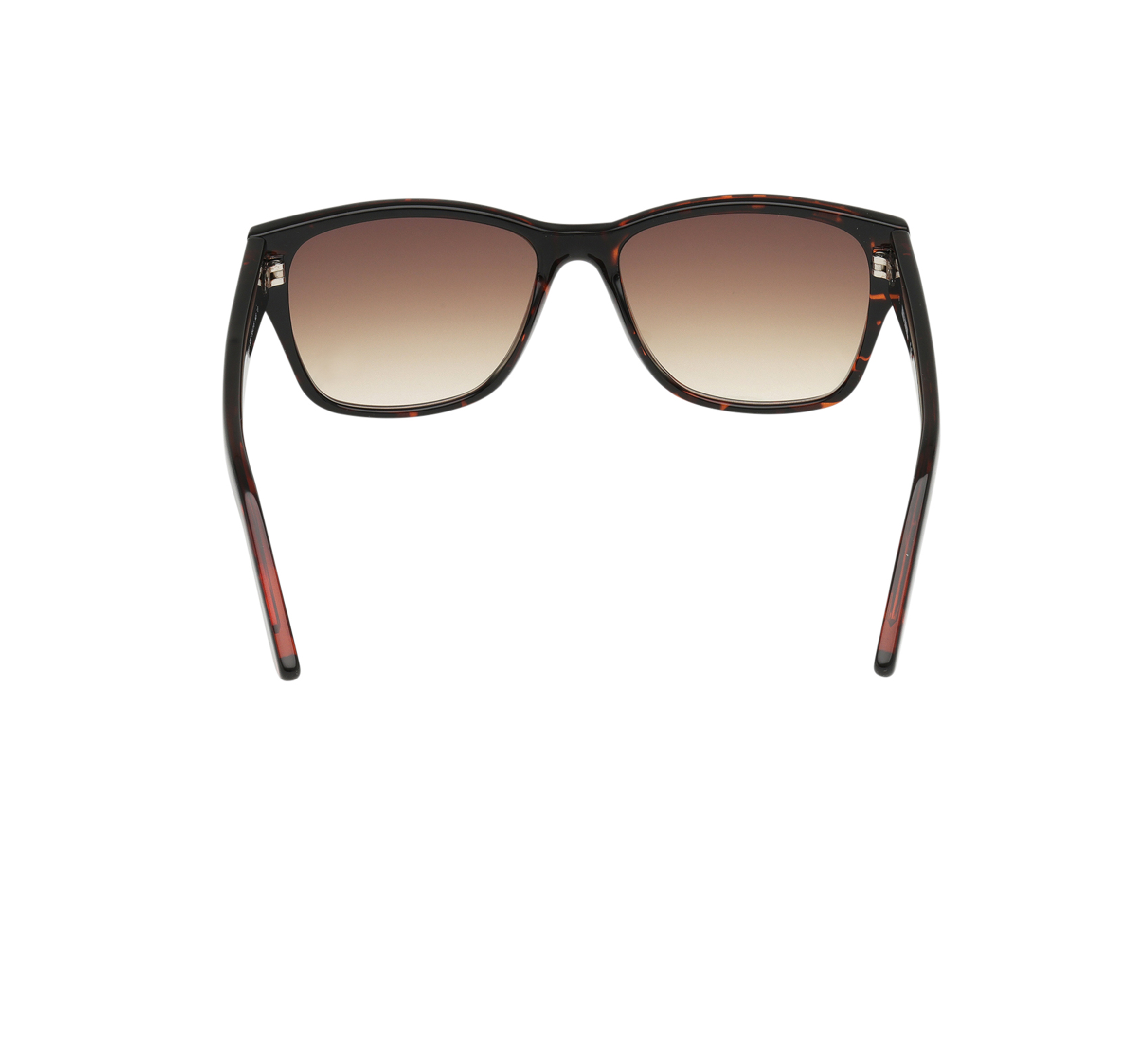 Wayfarer Lifestyle  Sunglasses