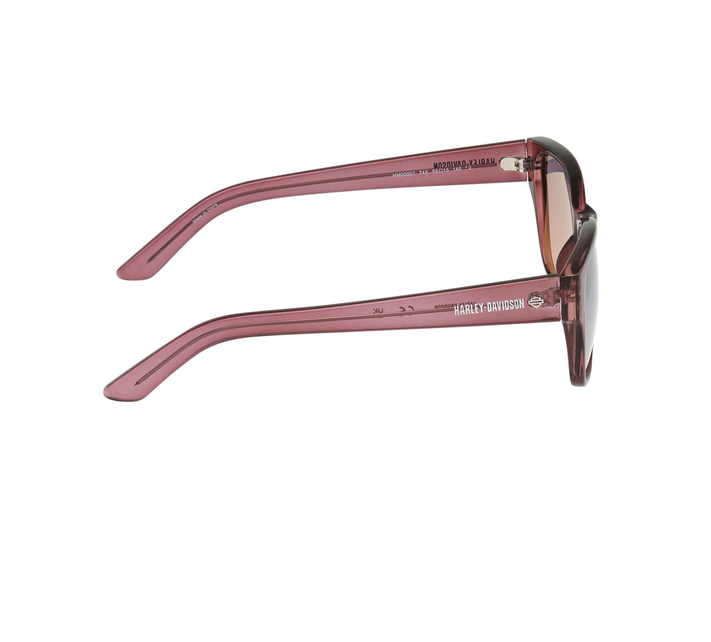 Wayfarer Lifestyle  Sunglasses