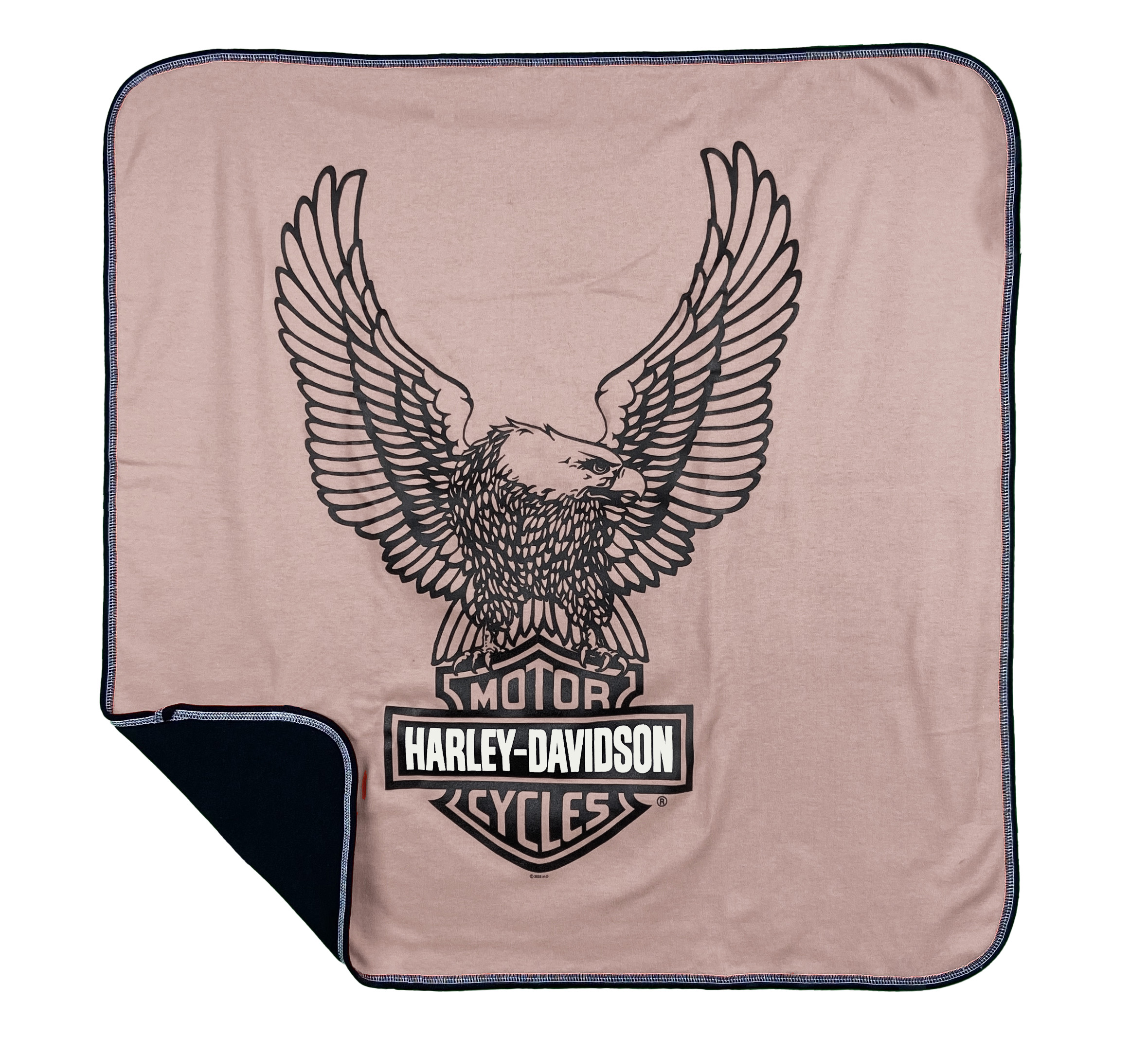 Infant Girls Receiving Blanket