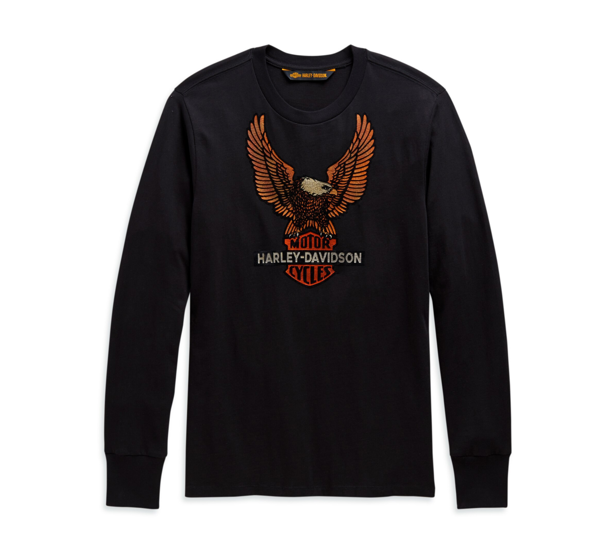 Men's Vintage Eagle Long Sleeve Tee