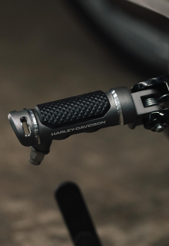 Softail Standard Beauty shot