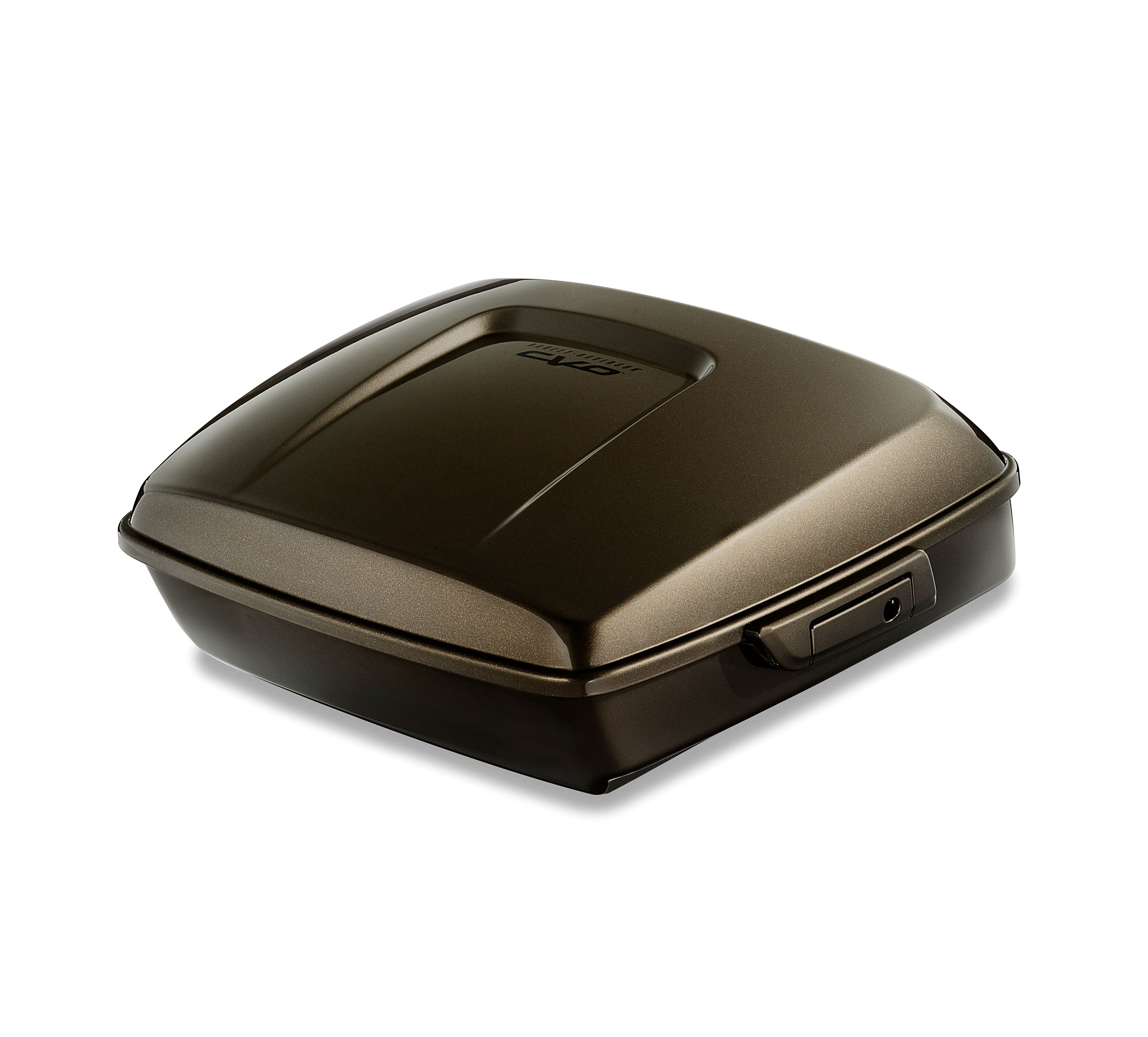 Color-Matched Chopped Tour-Pak Luggage