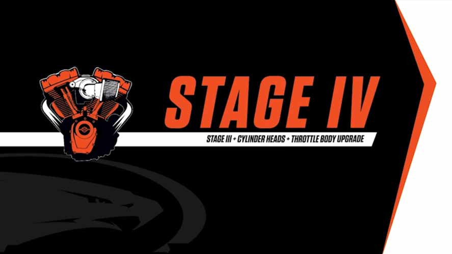 Screaming Eagle Stage IV